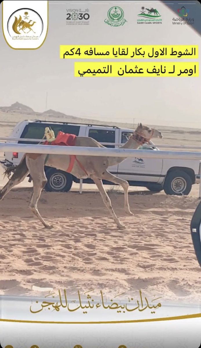 جفيفا تاريخ و أعلام tweet media