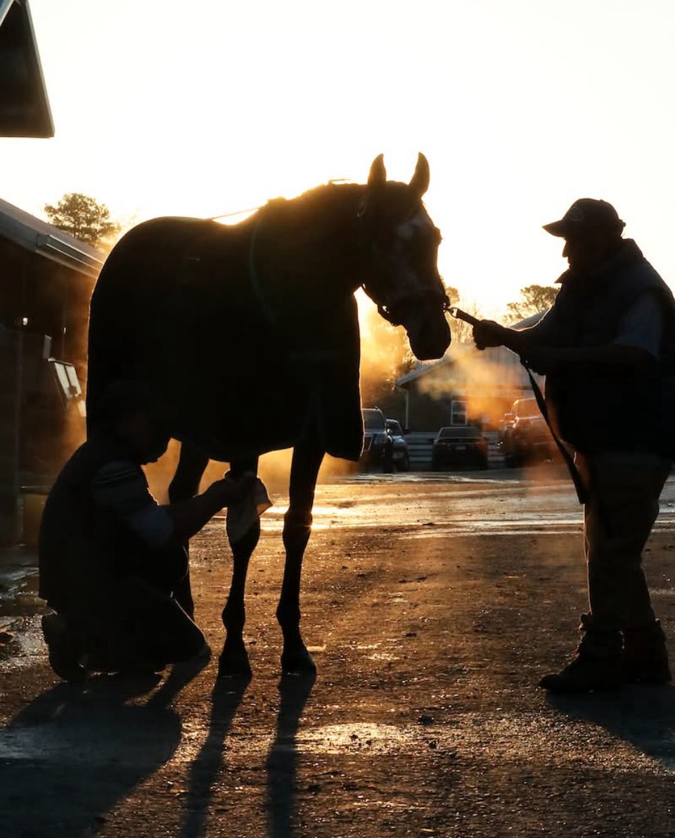 SUCCEED Equine (@succeedequine) on Twitter photo SUCCEEDยฎ wishes all our horsemen the best in todayโs ๐๐ฒ๐ป๐๐๐ฐ๐ธ๐ ๐ข๐ฎ๐ธ๐ ๐ธ ๐๐ช๐ฃ ๐๐ค๐ง ๐ฉ๐๐ ๐๐๐ก๐๐๐จ ๐ธ! Post time is 5:51 PM ET on NBC Sportsโenjoy the race! #KentuckyOaks #LiliesForTheFillies #ChurchillDowns #SUCCEEDEquine #EveryHorseAtItsBest SUCCEEDยฎ wishes all our horsemen the best in todayโs ๐๐ฒ๐ป๐๐๐ฐ๐ธ๐ ๐ข๐ฎ๐ธ๐ ๐ธ ๐๐ช๐ฃ ๐๐ค๐ง ๐ฉ๐๐ ๐๐๐ก๐๐๐จ ๐ธ! Post time is 5:51 PM ET on NBC Sportsโenjoy the race! #KentuckyOaks #LiliesForTheFillies #ChurchillDowns #SUCCEEDEquine #EveryHorseAtItsBest