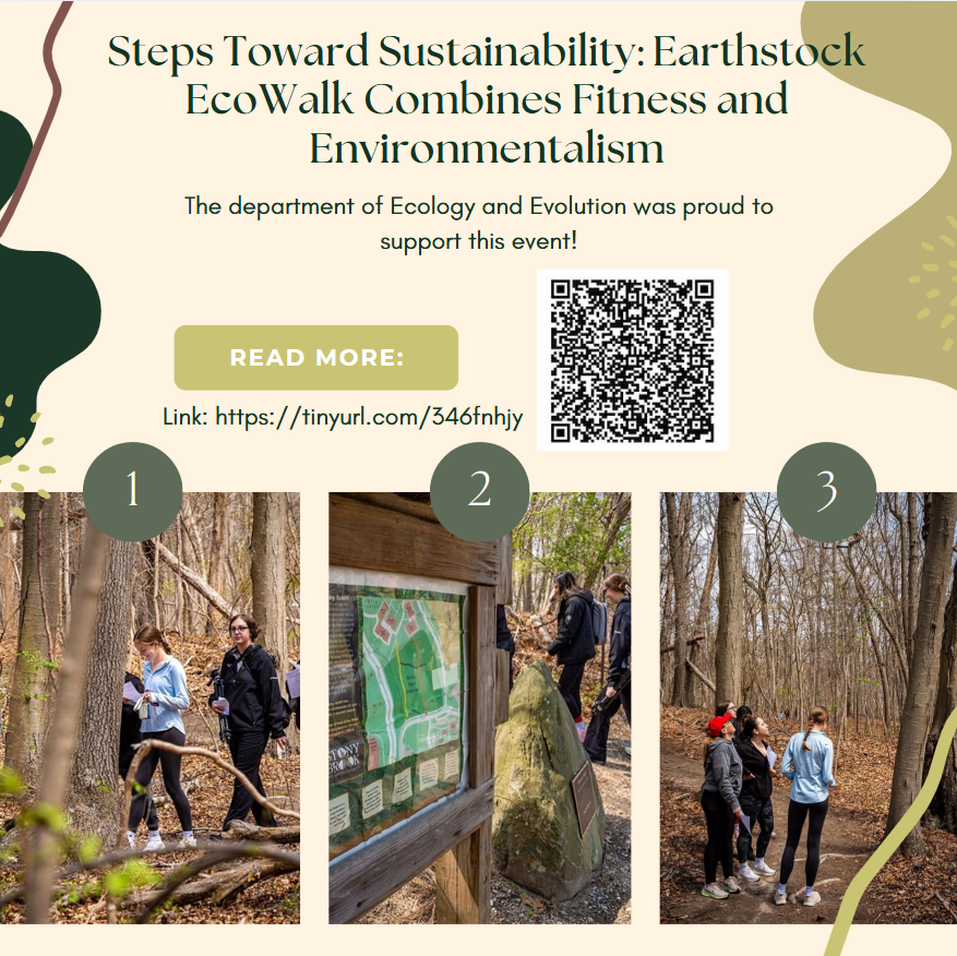 Taking Steps for a Greener Future 🌿🌎 Students joined the Earthstock EcoWalk, blending fitness with environmental awareness on a beautiful spring day! Proudly sponsored by the Department of Ecology and Evolution. #Sustainability #Earthstock #EcoWalk