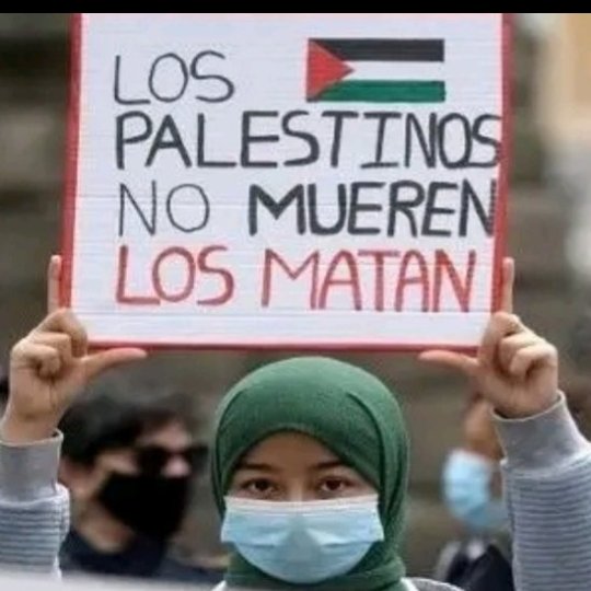 PalomaP1743's tweet photo. Cuanta tristeza ver  la masacre contra el pueblo de #Palestina. Cese ya el genocidio!!!
#FreePalestina #PalestinaLibreYa 

@Anyelina_RR76 @Alma521992 
@DavidCuba2020  @FernandezRayla @dariels281270 @papott @PalomaP1743 @AlbaMGlez2 https://t.co/W90NvwR0zN