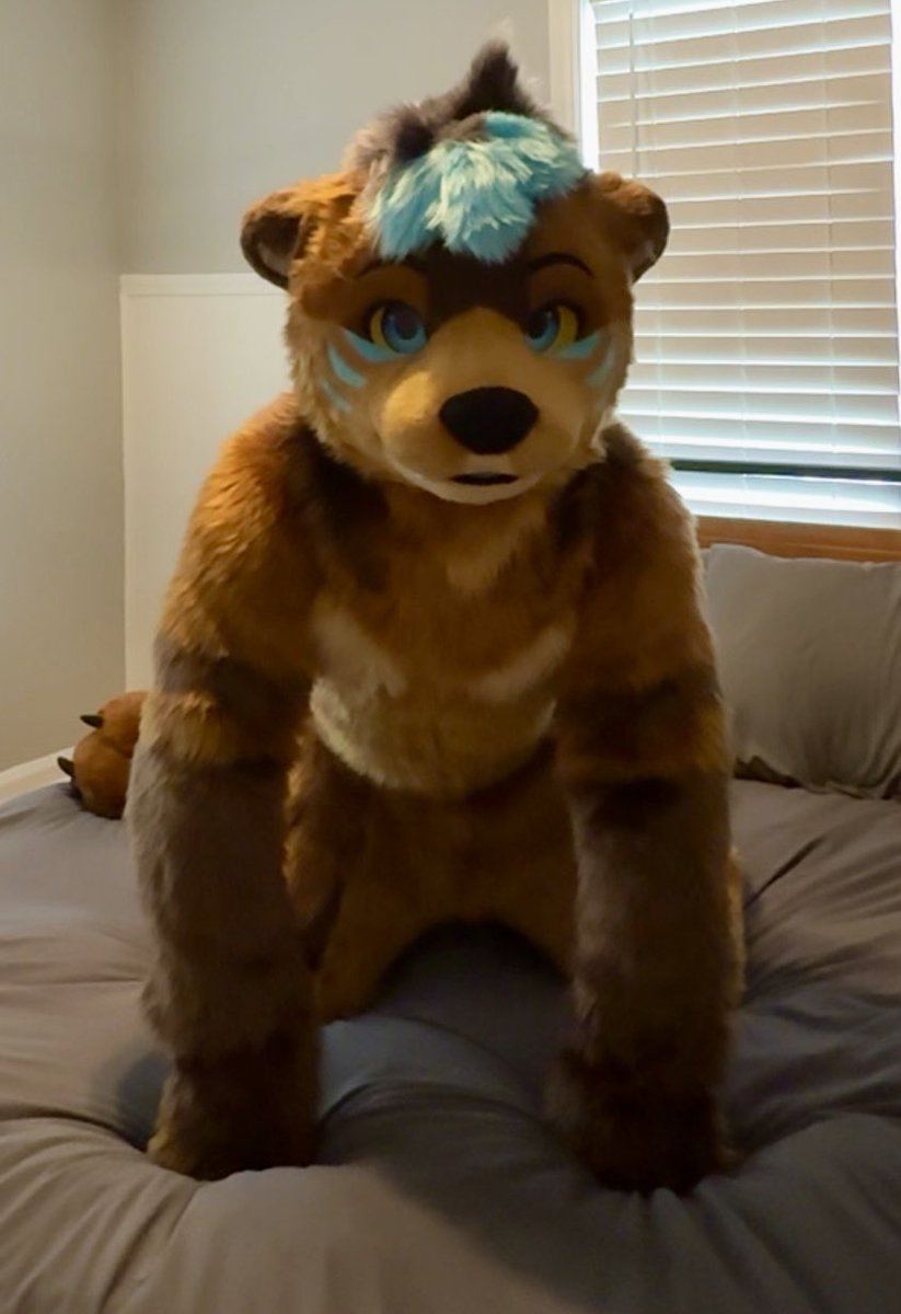 Ripple 🦦 tweet media