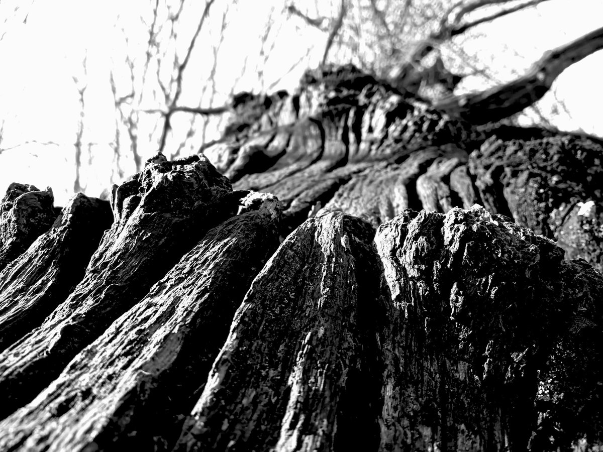 Isle of Wight National Landscape tweet media