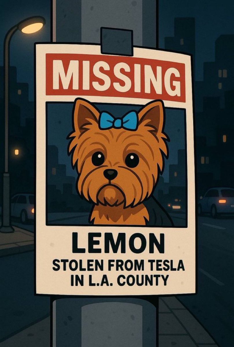 eth_lemon_dog's tweet photo. @elonmusk @LauraLoomer @PeteHegseth @realDonaldTrump @DeptofDefense @DOGE @WhiteCoatWaste What about #LEMON 🍋 https://t.co/EQI6nJxqK0