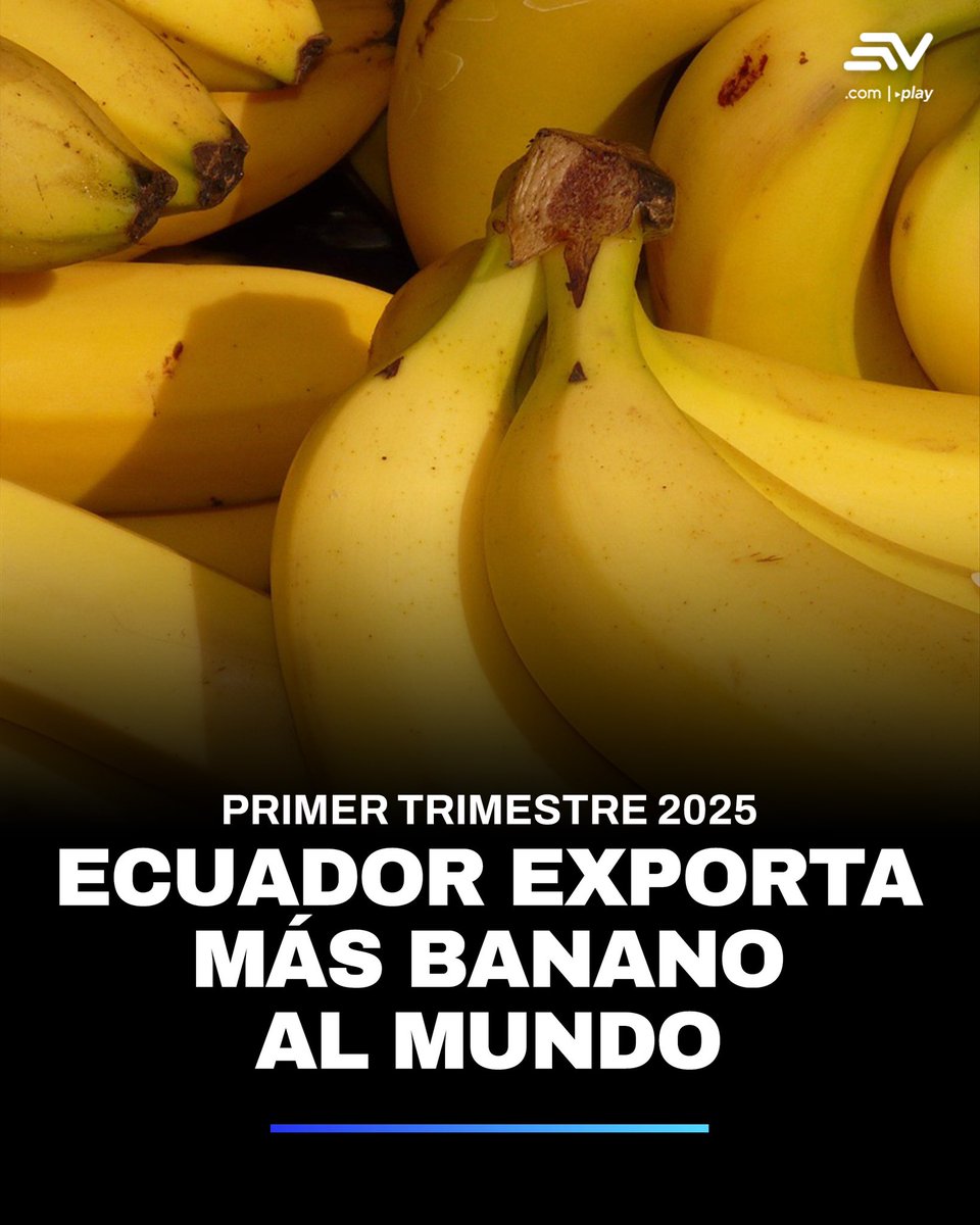 Ecuavisa Noticias tweet media