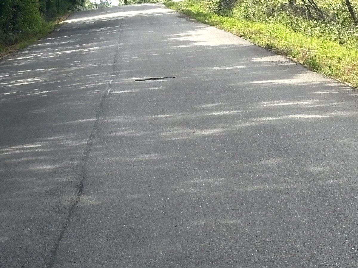 Melinda Howard tweet media