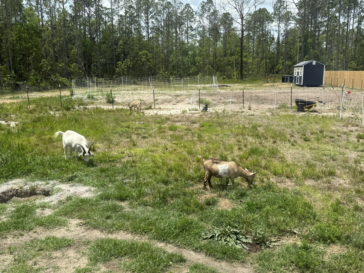 Mowers hard at work in the heat <a href="/Mrshntress/">Mrs. Hunts4Food70’s</a>