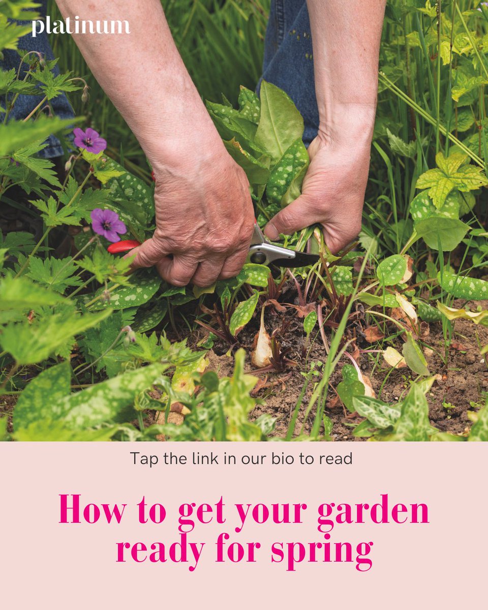 Looking for the perfect spring reset as we approach May? 🌷

We caught up with owner of @barnsdalegardens, Nick Hamilton, as he shares what to check off your spring gardening checklist!

Follow the link to read his answers to all of your questions: platinum-mag.co.uk/style/how-to-g…