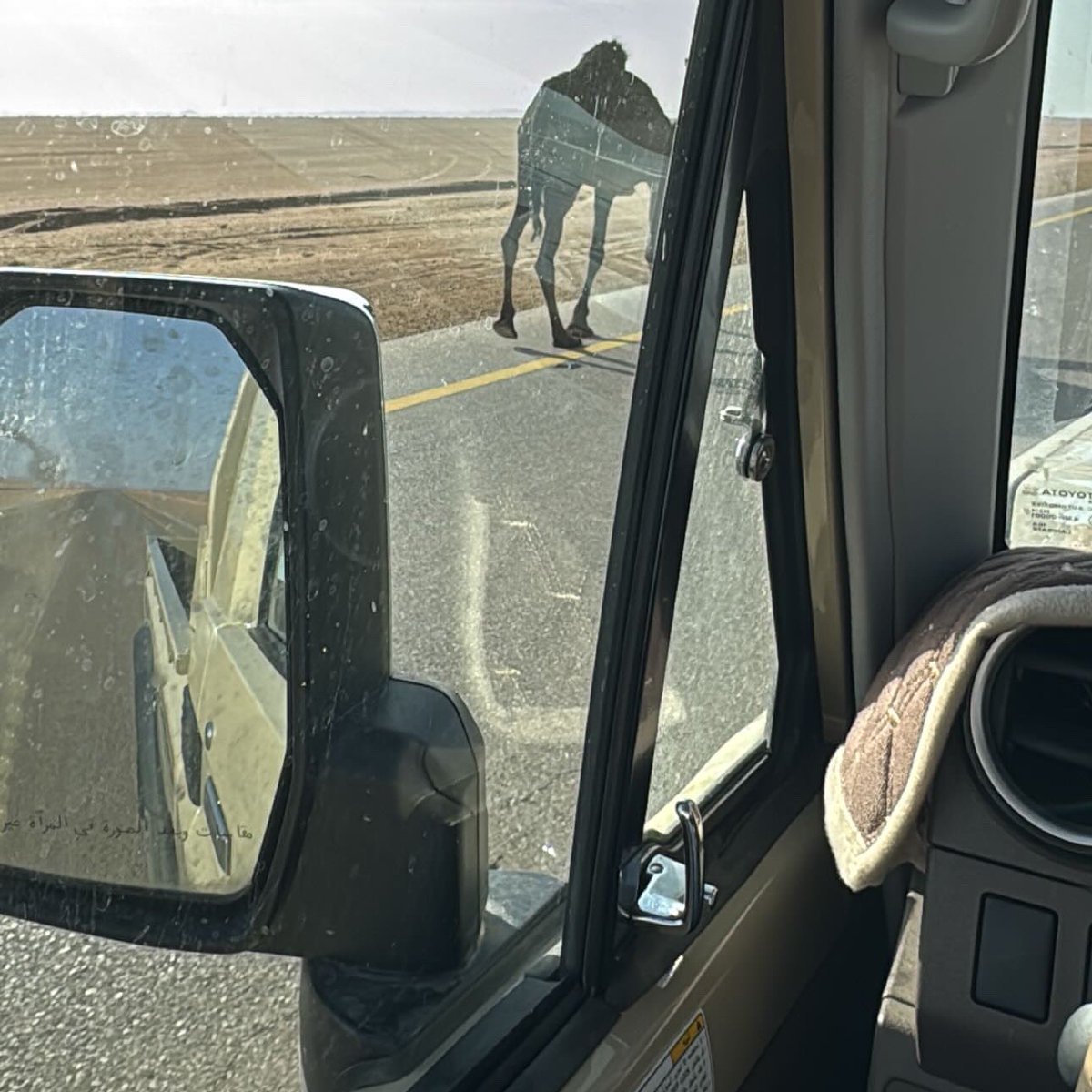 الإبّل حبها غير للقلب الشغوف
حيّ من يتبع هواها ويعرف ودّها