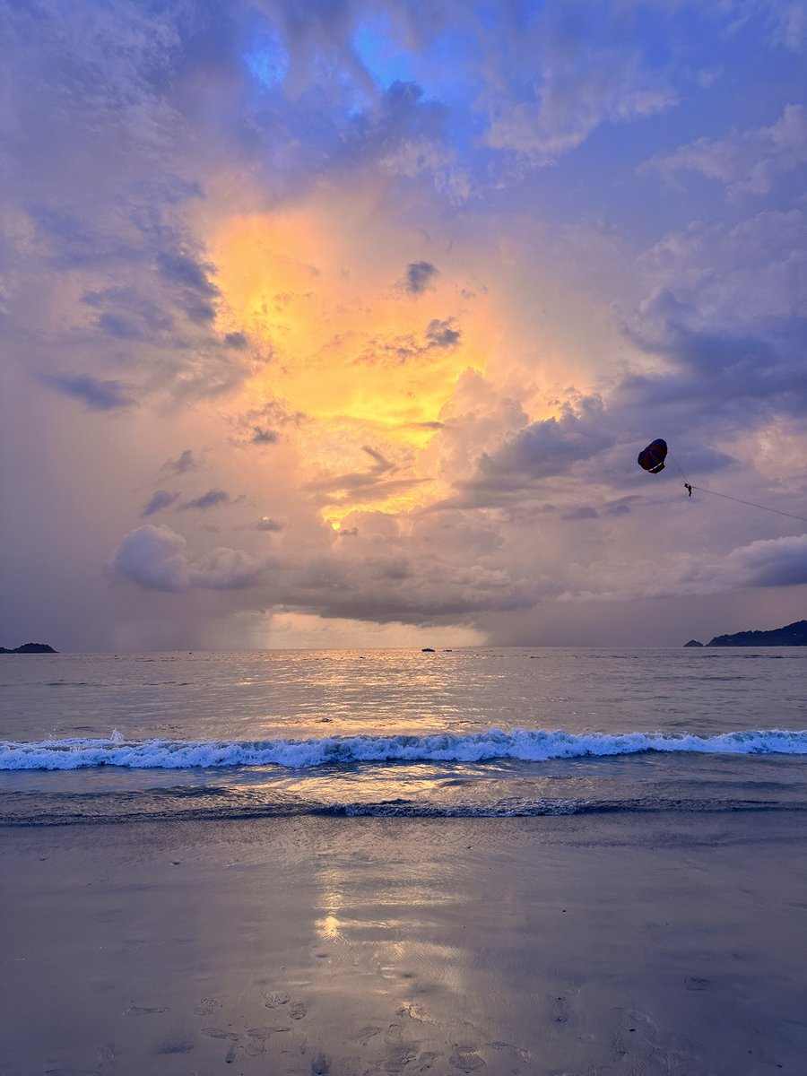 renberlinghieri's tweet photo. Very excited to be in Phuket, Thailand for #AISTATS2025 🇹🇭

DMs are open if you want to connect and chat! 

I’ll be presenting my recent work with amazing collaborators @ShenRaphael and @ta_broderick on extending multimarginal Schrödinger bridges using domain knowledge 🧬🦠🌀🌊 https://t.co/NI7f6jeZ8m
