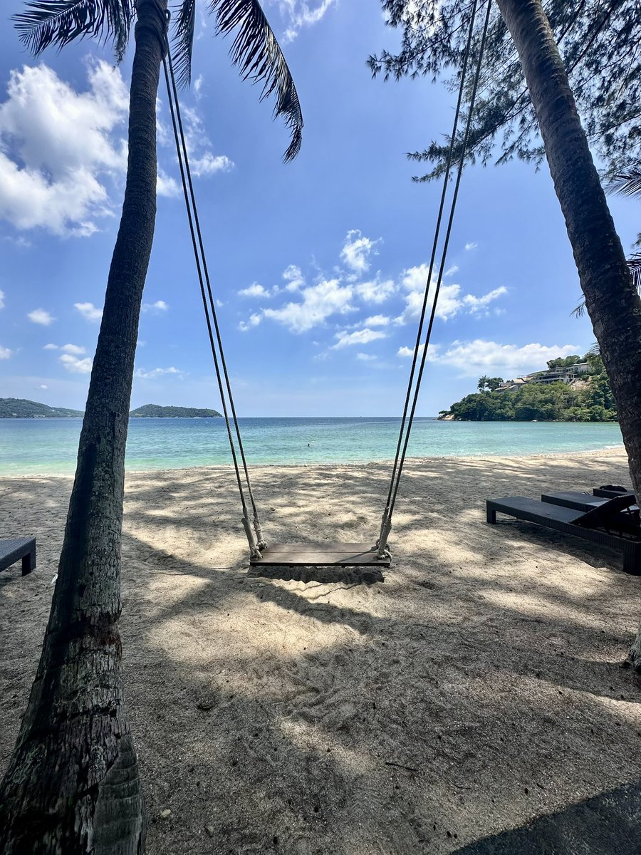 renberlinghieri's tweet photo. Very excited to be in Phuket, Thailand for #AISTATS2025 🇹🇭

DMs are open if you want to connect and chat! 

I’ll be presenting my recent work with amazing collaborators @ShenRaphael and @ta_broderick on extending multimarginal Schrödinger bridges using domain knowledge 🧬🦠🌀🌊 https://t.co/NI7f6jeZ8m