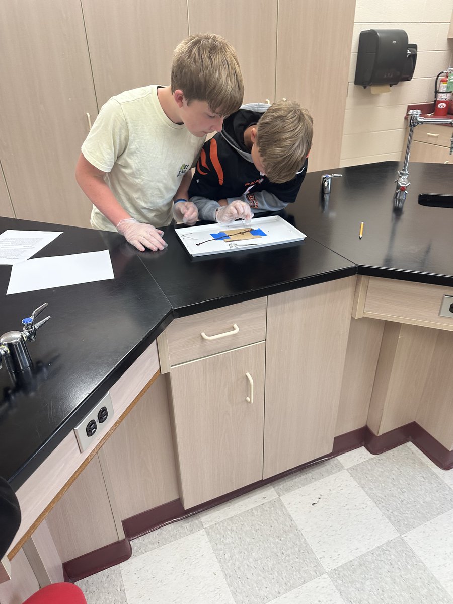 Worm dissecting is super engaging! These 7th graders had a great hands-on learning experience today, courtesy of Ms. Evans!