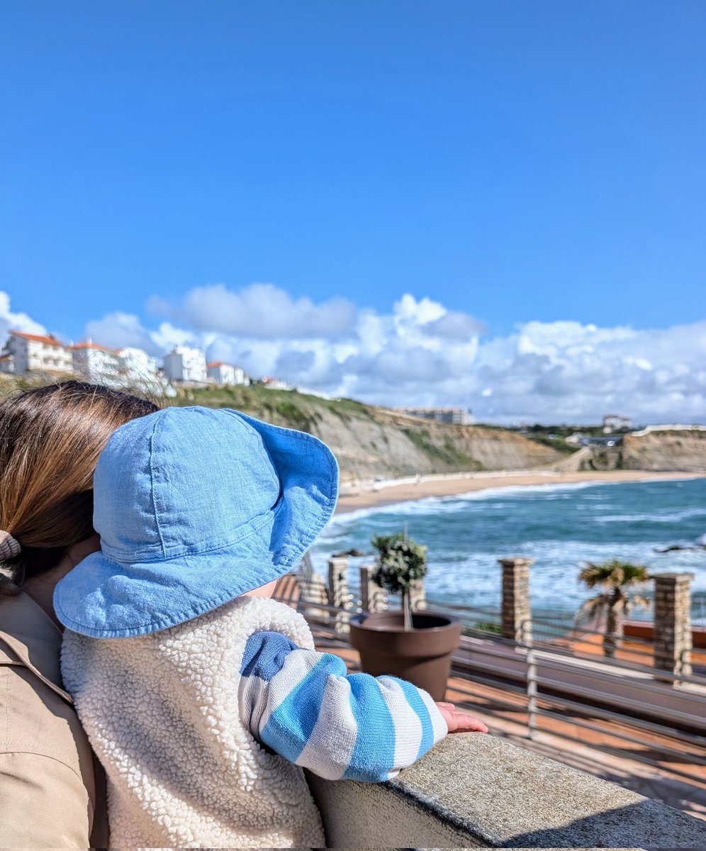 Stack Hodler tweet media