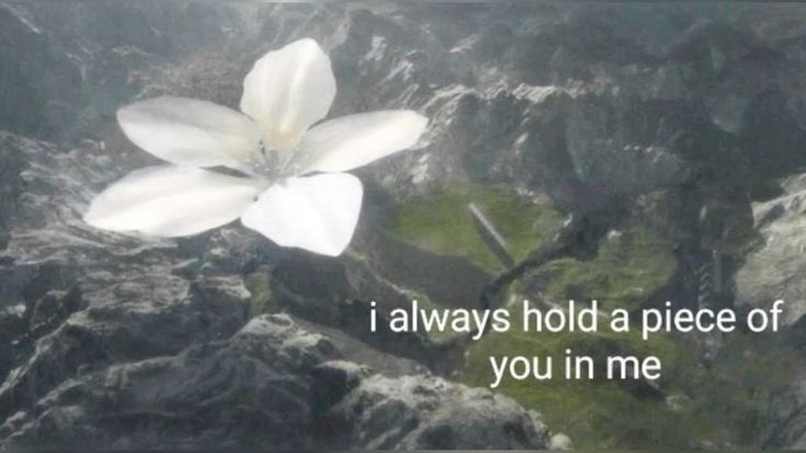 ❀ ✿ ✾ tweet media