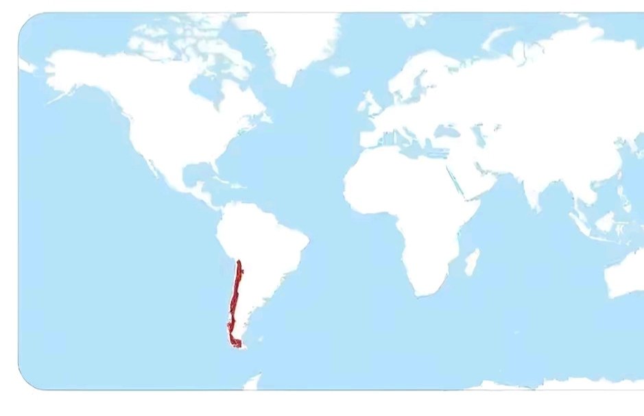 EJEMPLO MUNDIAL:

En Rojo Chile, único país del mundo donde un Terremoto 7.5 no genera víctimas ni daños estructurales.

💪🏻💪🏻
#Terremoto 
#Tsunami