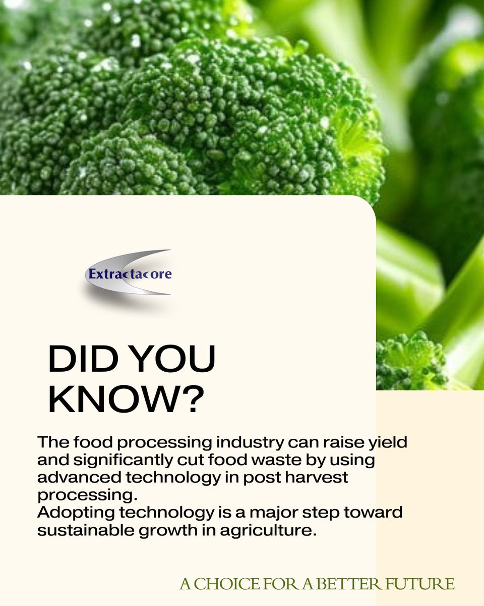 ExtractaCore's tweet image. Love Fresh, Sustainable Veggies?
Our advanced machinery helps the food processing industry floret broccoli, cauliflower, de-core lettuces, and process endive—cutting waste and boosting yields for a brighter, greener tomorrow!
Visit extractacoreltd.com to learn more!
#AgTech