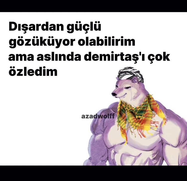 seyrani arz eyler varmağa𓃵 (@2018ayranguzeli) on Twitter photo 