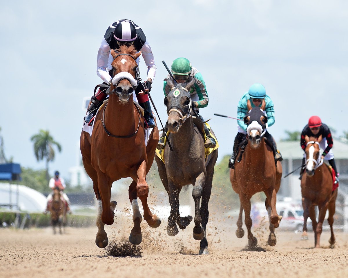 Copernium holds on to win race 1, <a href="/EdwinGonzalz1/">Edwin Gonzaléz</a> rode for trainer <a href="/JackSisterson/">JWS Racing</a>, and owners MHM Stables and John Oxley. #GulfstreamPark #RoyalPalmMeet