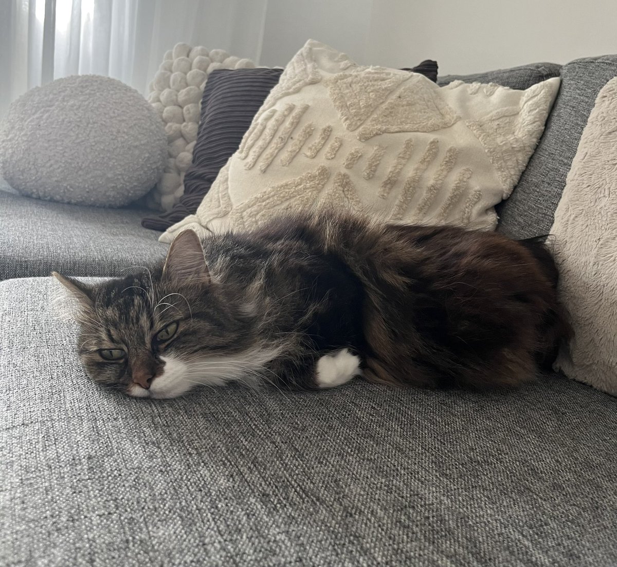 i think luna is having an existential crisis