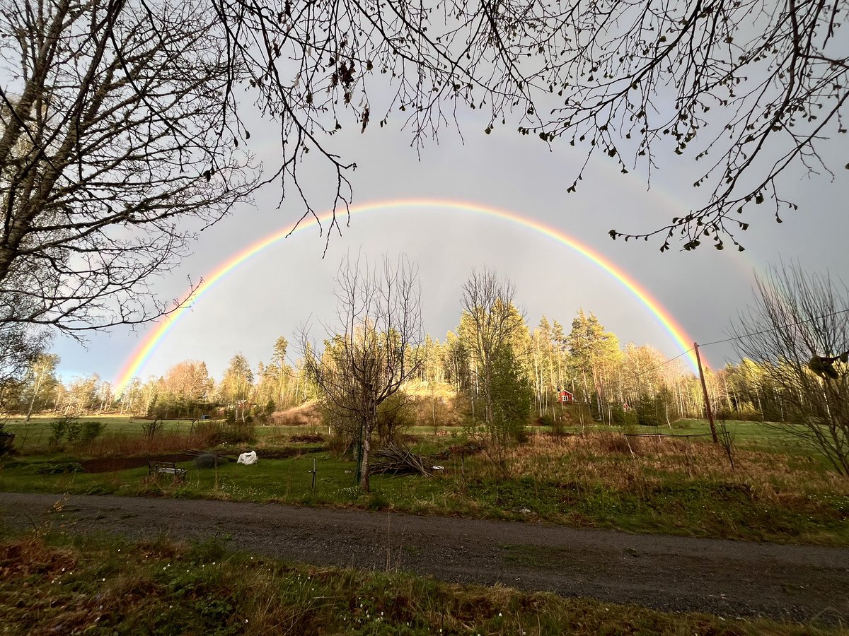 Magiskt på landet nyss 🤩