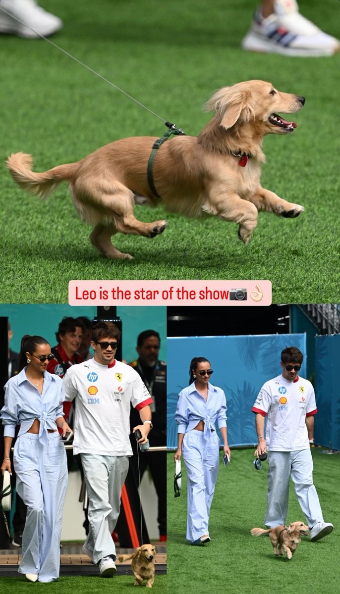 leclercsletters's tweet photo. one f1 photographer saying leo is the star of the show 😭

📷: f1sutton https://t.co/8vzYAR6RBG