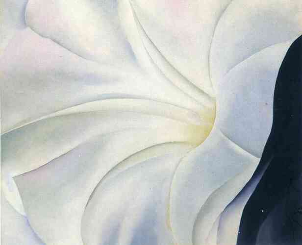 Morning Glory with Black #artbots #okeeffe