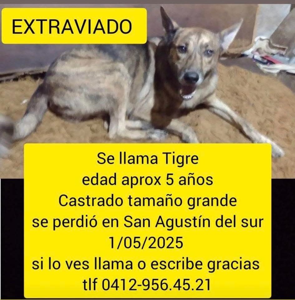 Su familia lo busca en San Agustín del Sur, Caracas