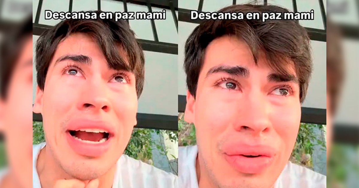 Radio_Zocalo's tweet image. Muere mamá de La Divaza tras meses de lucha contra el cáncer: ‘mi mami se fue al cielo’
#Divaza  #Influencer 
radiozocalo.com.mx/666981/