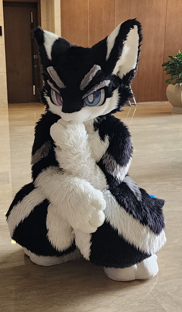 万物蹲（？）
ww-pass squat！

📸：<a href="/Longde233/">隆德-Londer</a>
✂：<a href="/yimaniao/">yimaniao</a>
#FursuitFriday