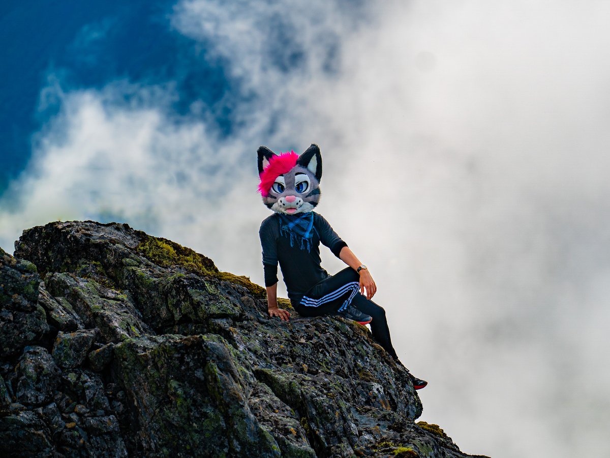 Soju cat ๐๐โก๏ธ FE, LVFC (@melon_mow) on Twitter photo HIKING SUMMER IS ONLY 2 MONTHS AWAY I can't wait to be a meowntain cat again :3
๐ธ<a href="/WildWoofXeris/">Xeris ๐บ ๐ Furizon</a> #FursuitFriday HIKING SUMMER IS ONLY 2 MONTHS AWAY I can't wait to be a meowntain cat again :3
๐ธ<a href="/WildWoofXeris/">Xeris ๐บ ๐ Furizon</a> #FursuitFriday
