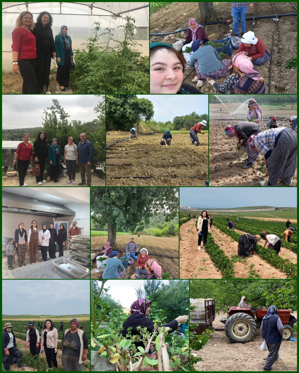 AK Kadın Adana (@akkadinadana) on Twitter photo #1Mayıs Emek ve Dayanışma Günü’nde
Emekçi ve Çiftçi Kardeşlerimizi de Ziyaret Ettik.
Alın terinin, emeğin ve toprağın kıymetini bir kez daha hatırlattık.
“Emek varsa, bereket var.”
#EmekVarsaUmutVar
<a href="/RTErdogan/">Recep Tayyip Erdoğan</a> #1Mayıs Emek ve Dayanışma Günü’nde
Emekçi ve Çiftçi Kardeşlerimizi de Ziyaret Ettik.
Alın terinin, emeğin ve toprağın kıymetini bir kez daha hatırlattık.
“Emek varsa, bereket var.”
#EmekVarsaUmutVar
<a href="/RTErdogan/">Recep Tayyip Erdoğan</a>