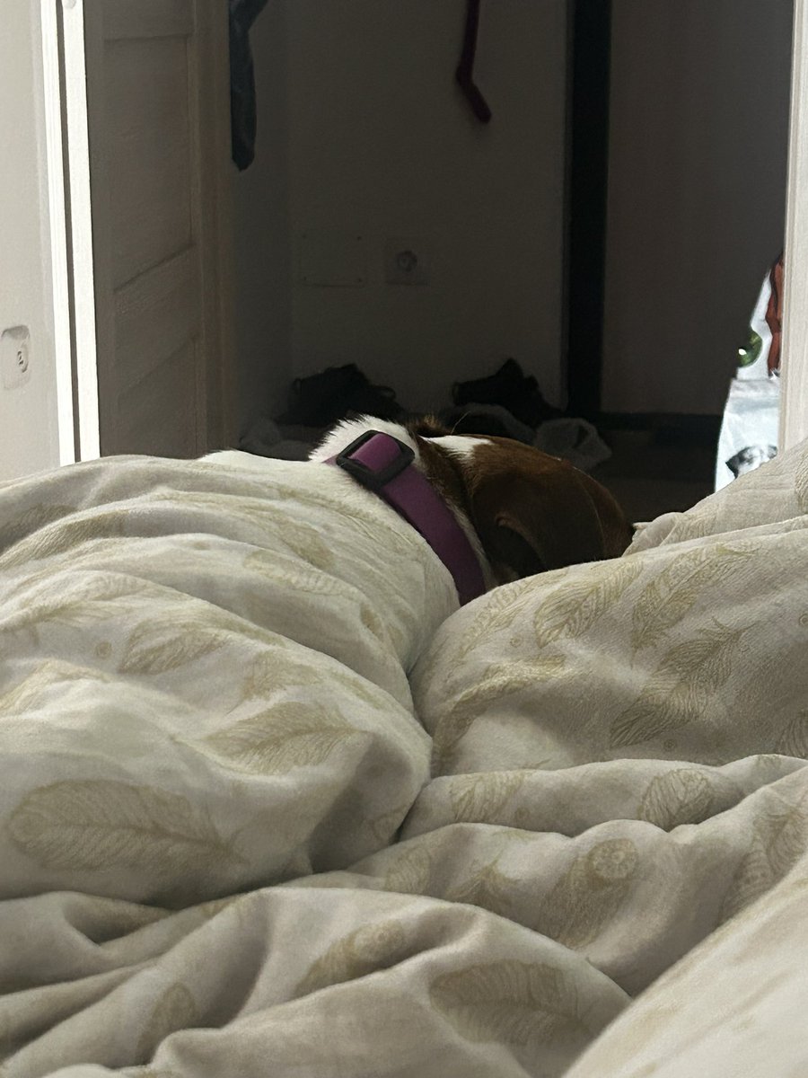 Держите булку, твиттерские!