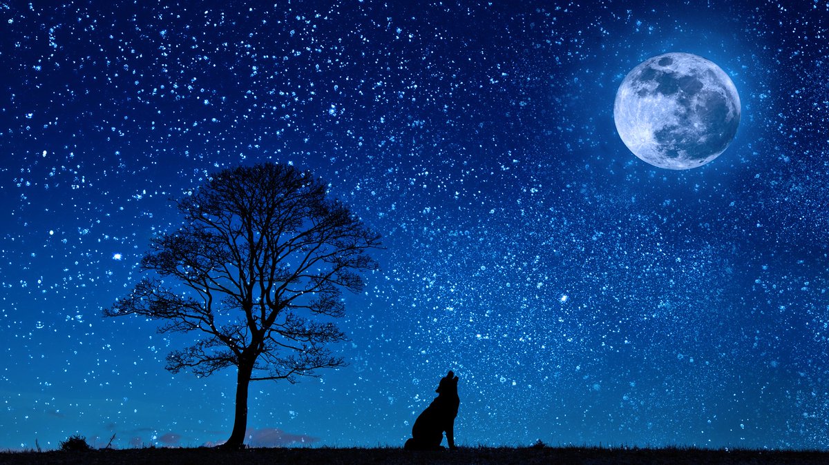 Aimer la douceur des soirées   calmes 
Regarder dans le ciel les étoiles 
Sentir ton cœur qui  bat de l âme !