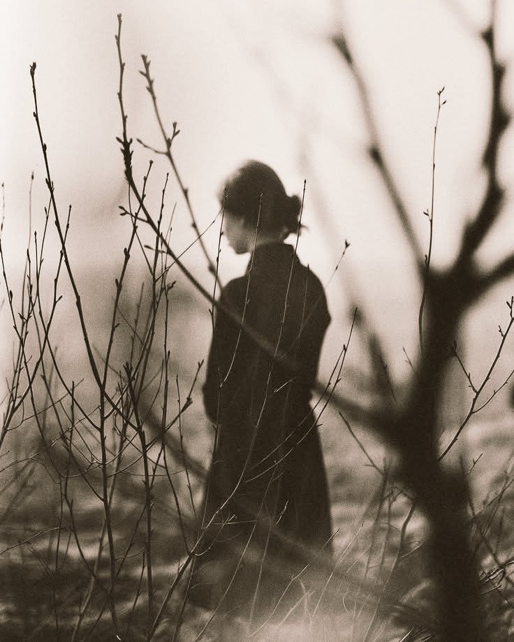 Atardecer_90's tweet photo. "Odio a quien roba mi soledad 
                 sin, a cambio, 
ofrecerme verdadera compañía."

         ~ Friedrich Nietzsche https://t.co/zgclwtMvuM