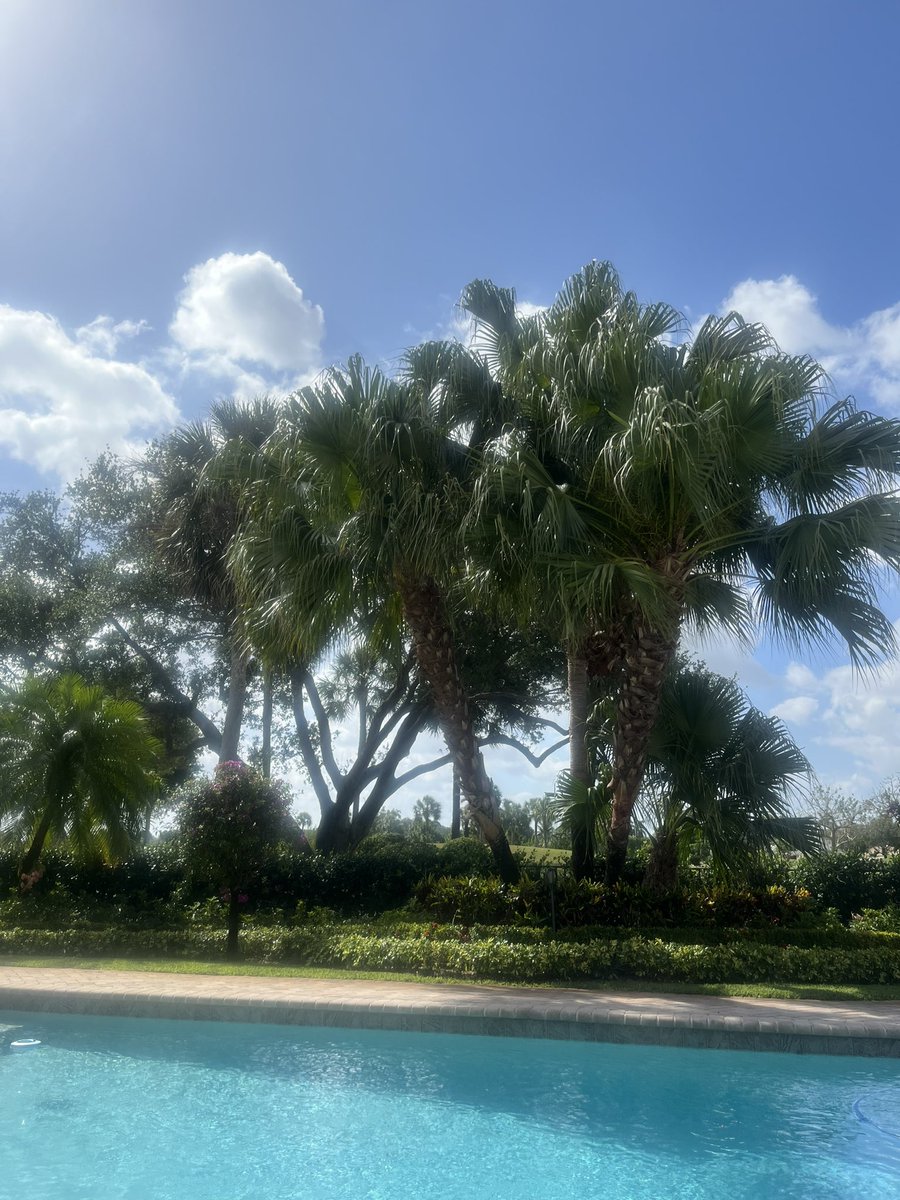 good to be back in FL 🌴