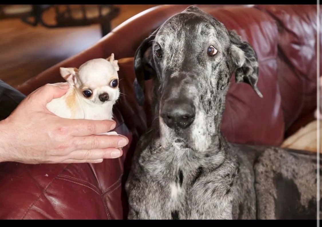 Pixlokita's tweet image. It’s them coded…
#SonicTheHedgehog #SonicUnleashed