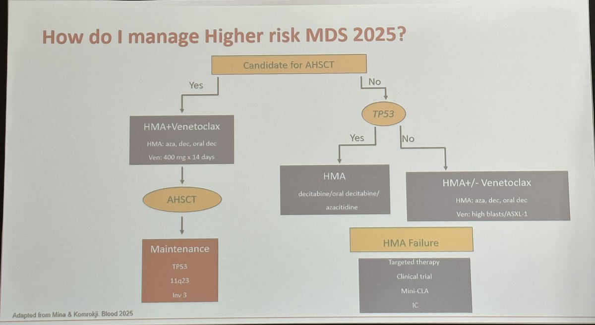 bdermanmd's tweet photo. A great discussion from Rami Komarokji to kick off @chadinabhan #thinktank25 regarding MDS treatment in 2025 and beyond. 
The panel notes:
- HMA alone has limited. But toxicity from venetoclax is significant. Is two weeks too much? 
- many failed combination studies - when will there be an approved combo ? 
- how important is it to get a response before transplant?