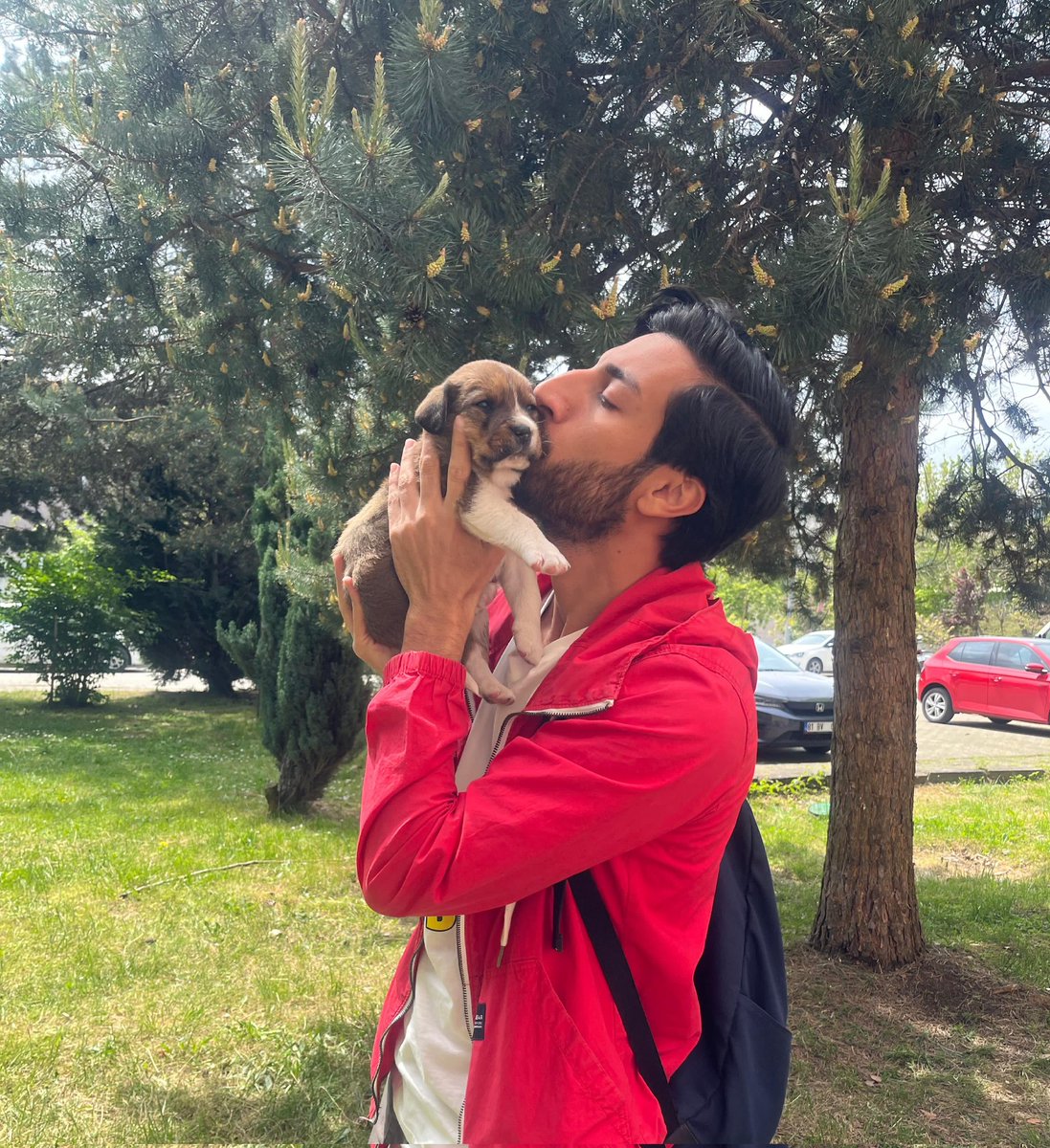 Susmayacağım.
Bir sokak hayvanın gözlerinde kalan son ışıktan cesaretle 
Onların yanında olmaya devam edeceğim..
Canlar sessiz ama acıları konuşuyor .
Taş geliyor insandan merhamet değil !
Kötüye ve kötülüklere inat .. rağmen ve inatla yola devam 
#SokakHayvanlarıSahipsizDeğil