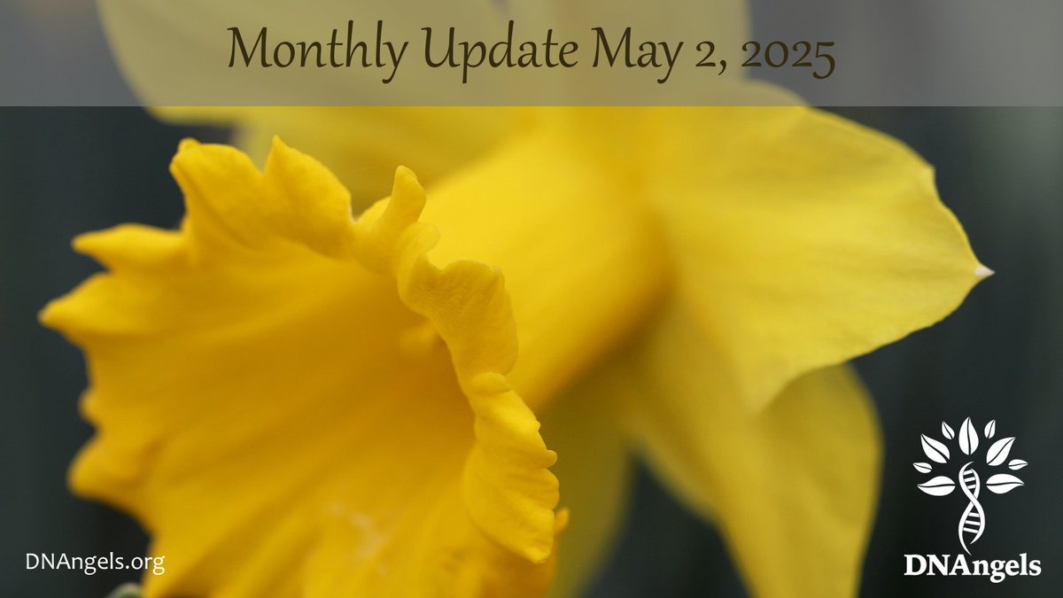DNAngels4's tweet photo. We're wrapping up a great month! Our incredible team of search Angels identified a total of 33 birth parents last week, bringing us to a total of 127 for the month of April! Great job, everyone! As always, we're grateful for all their hard work and the dedicated support of ... https://t.co/UM7sRga5dT