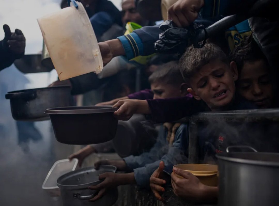 snekrz4's tweet image. We are dying of hunger. We are dying slowly. We are suffering here. When will this nightmare end?
Please donate or share.
gofund.me/01d8a0a3