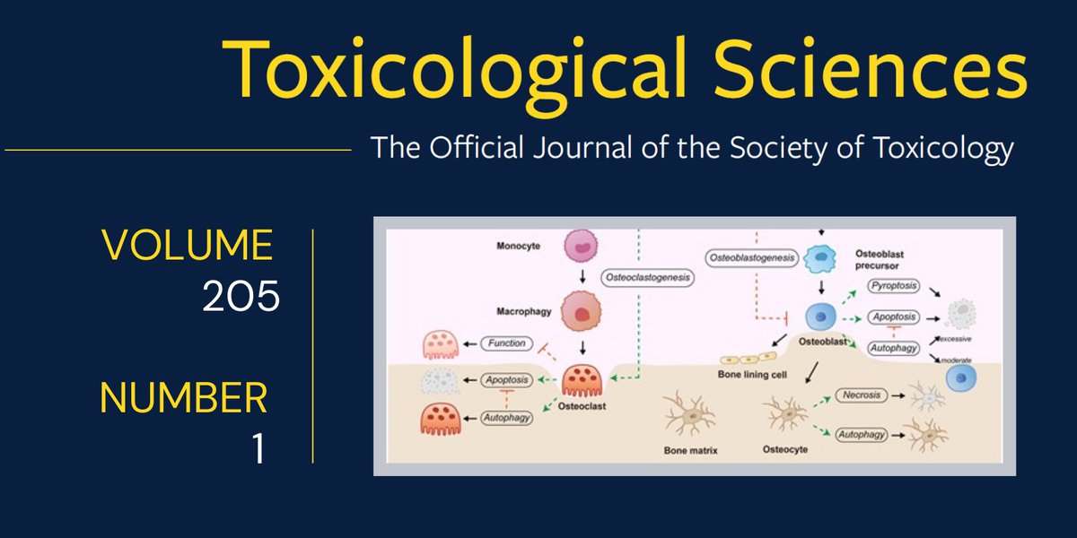Society of Toxicology (@sotoxicology) on Twitter photo May 2025 <a href="/ToxSci/">Toxicological Sciences</a> Contemporary Review—Cadmium Exposure and Osteoporosis: Epidemiological Evidence and Mechanisms academic.oup.com/toxsci/article… (#FreeToRead) May 2025 <a href="/ToxSci/">Toxicological Sciences</a> Contemporary Review—Cadmium Exposure and Osteoporosis: Epidemiological Evidence and Mechanisms academic.oup.com/toxsci/article… (#FreeToRead)