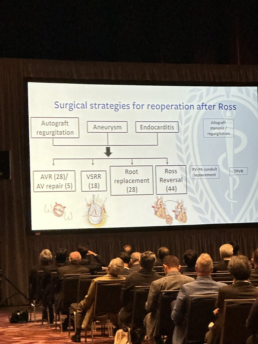 Kicked off #AATS2025 with all things aortic valve. Ross/how to best treat bicuspids/what to do when a TAVR fails… and it’s only day 1!