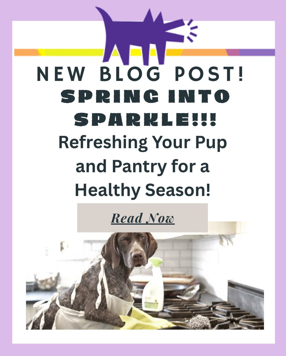 BarkDirty's tweet image. This month is all out Spring cleaning we will explore ways to help you and your pet get out of the winter blues . Check out our blog bit.ly/4ik4Hjy #springsparkle #barkblog