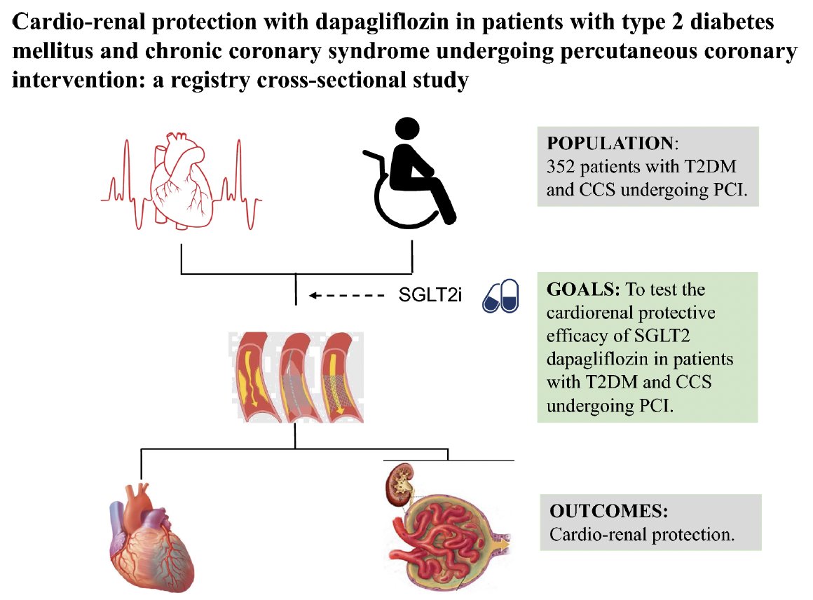 🎯To evaluate the cardiorenal protective effects of dapagliflozin in T2DM pts w/ CCS undergoing PCI. 

👥Cross-sectional analysis of 1:1 PSM pts: 176 dapagliflozin vs. 176 control from a tertiary hospital undergoing PCI (January 2018 - March 2022).

📊 After adjusting for