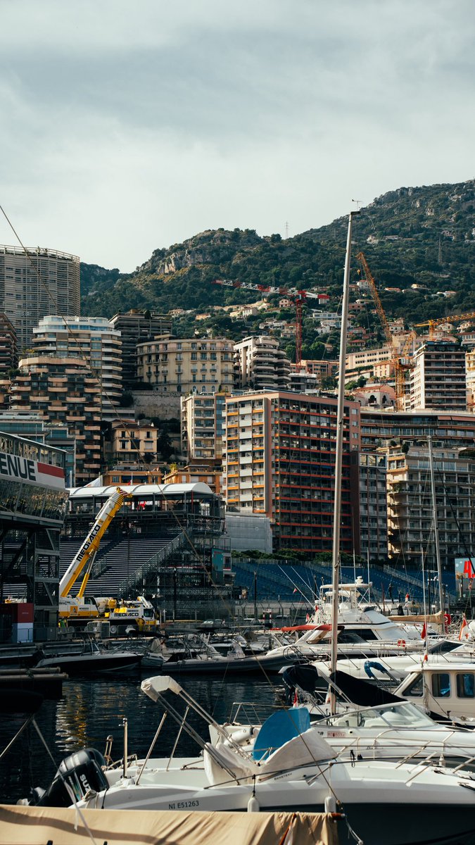 Petroslav tweet media