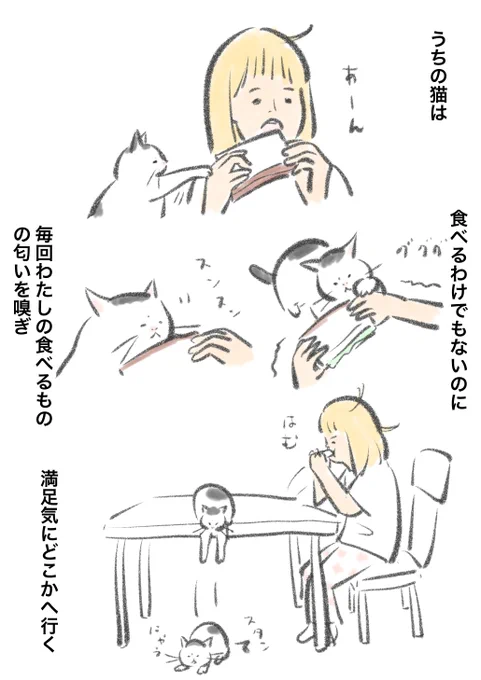 おはようございます。
どうしても確認したい猫。 