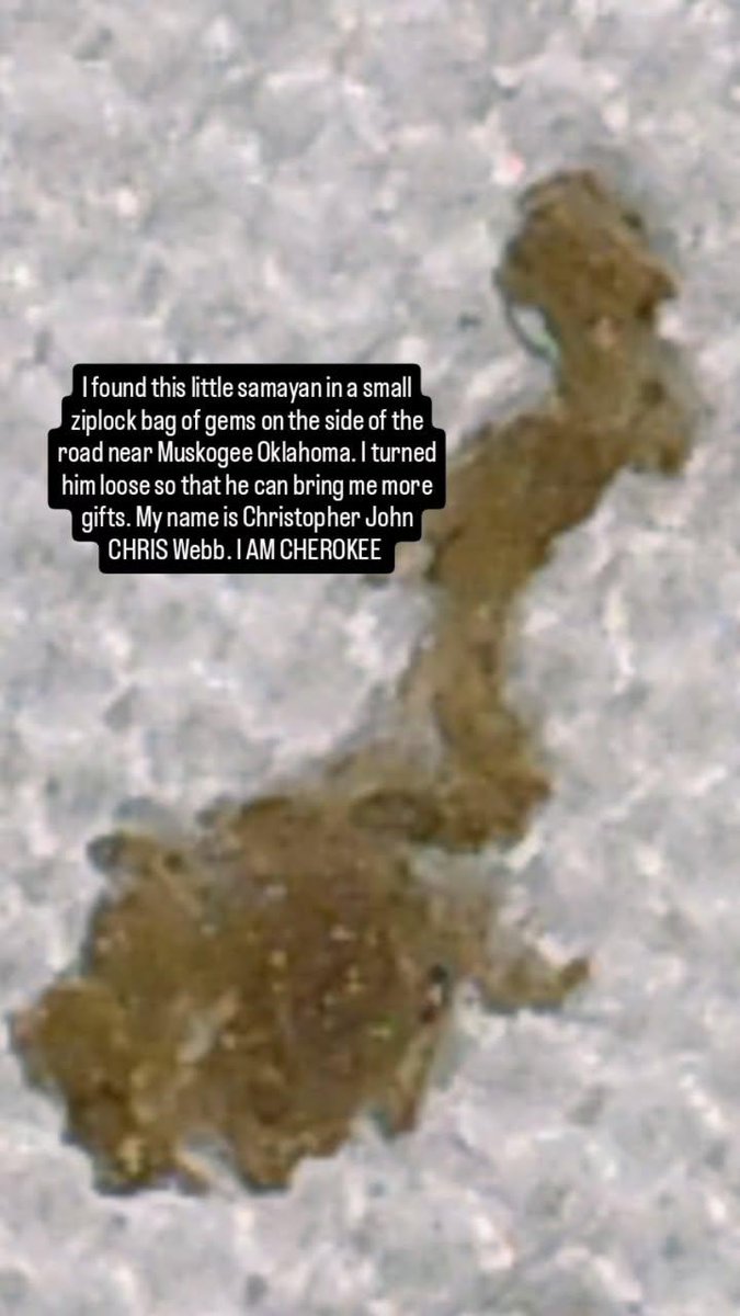 Christopher j Webb tweet media