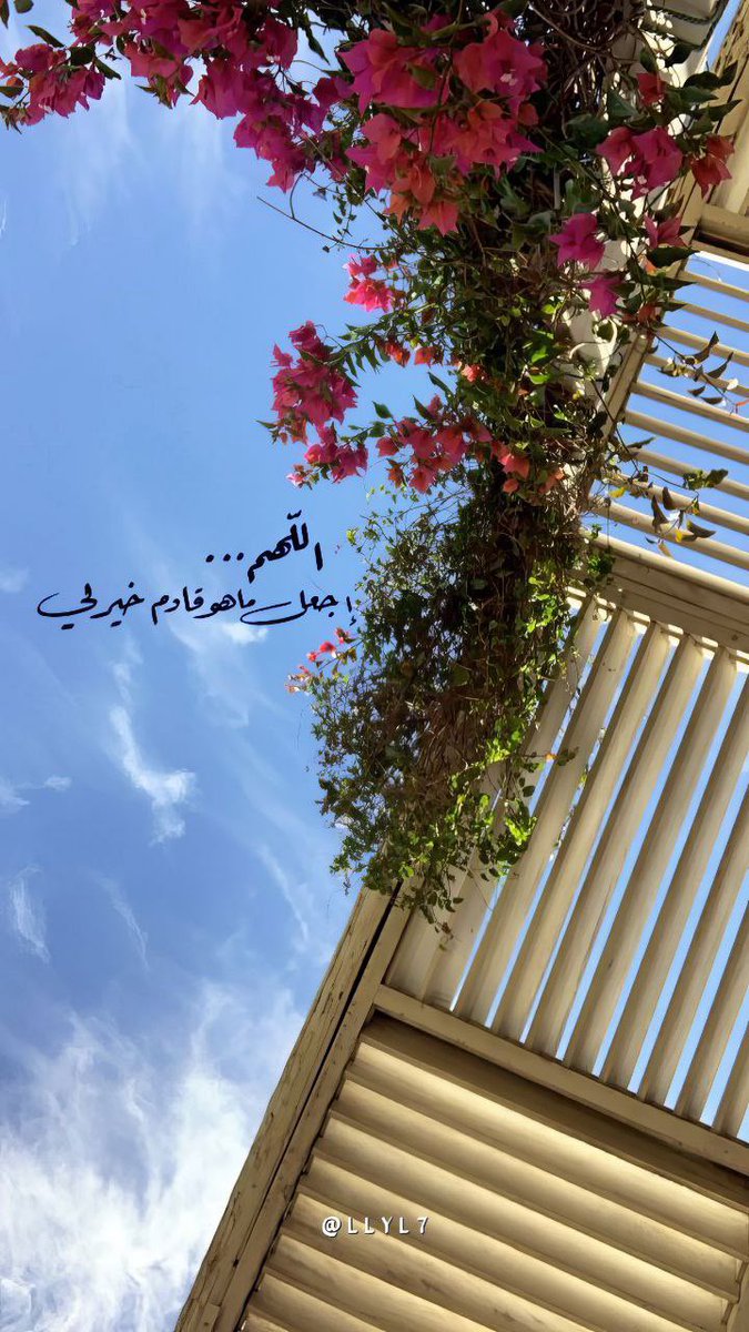 "وأشعرُ أن في الأيامِ شيئًا سوف ألقاهُ، وأشعر أنّه فرَحٌ كما قلبي تمنّاهُ♥️

#صباح_الخير_والسعاده