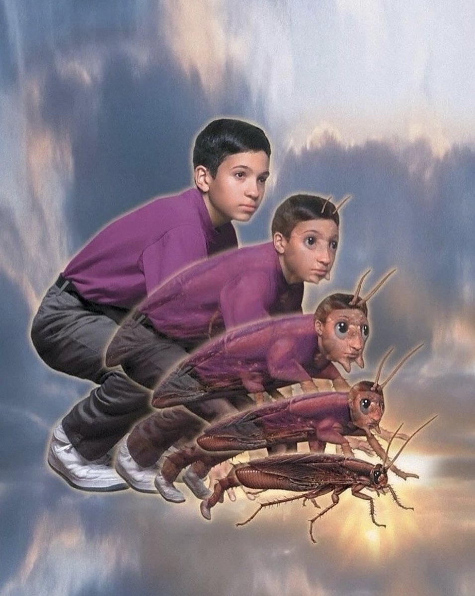 insaneposes's tweet image. 