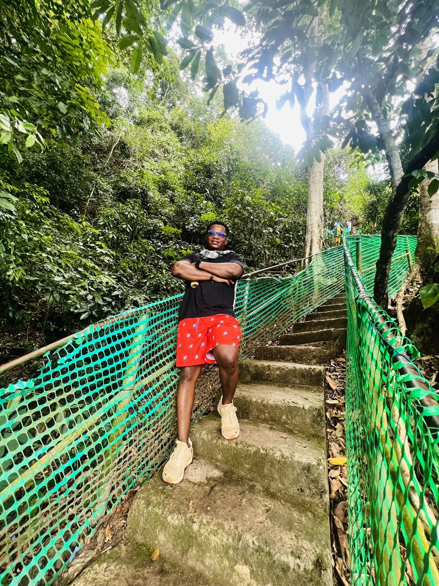 Figuring Things Out tweet media