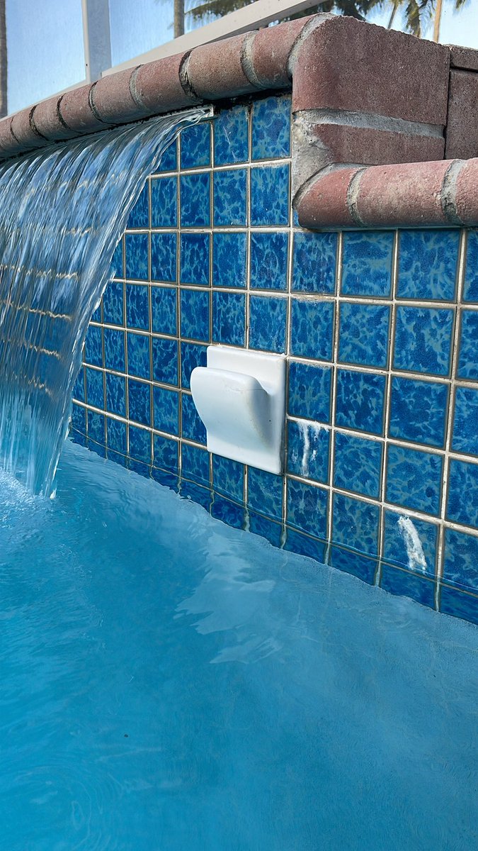 HELP! What is this thing in my pool?